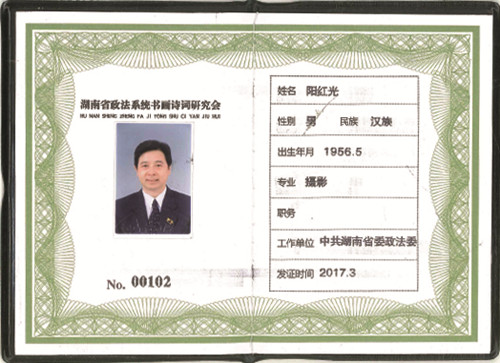高级研究员 阳红光